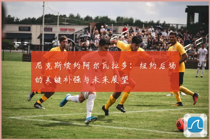 尼克斯续约阿尔瓦拉多:纽约后场的关键补强与未来展望